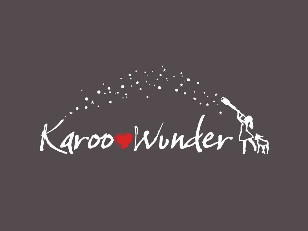 logo-design karoowunder011